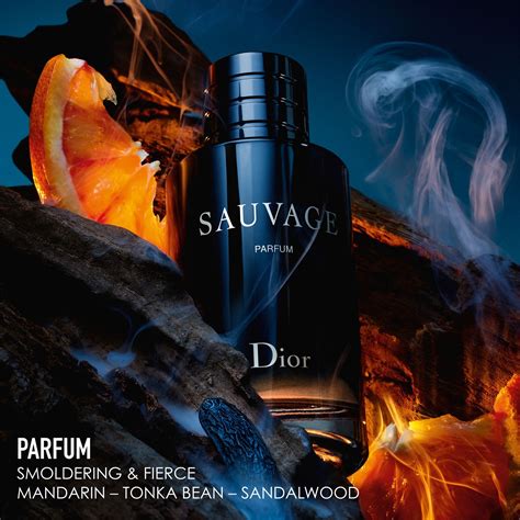 sauvage dior france|dior sauvage unisex.